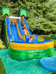 1520tropical 1691360476 15' Green Tropical Slide