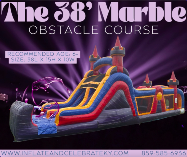 Marble Mania Obstacle Course